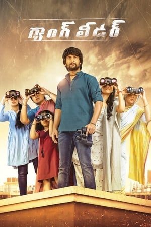 Nanis Gang Leader 2019 (Hindi HQ Dubbed) Dual Audio [ – 480p]