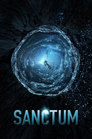 Sanctum (2011) Hindi Dual Audio [800MB]