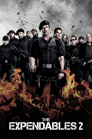 The Expendables 2 (2012) 100mb Hindi Dual Audio movie Download